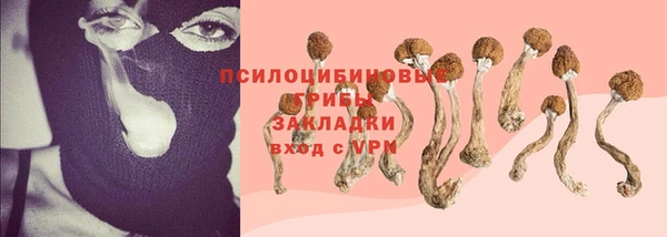 МДПВ Осташков