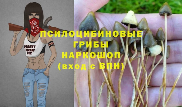 МДПВ Осташков
